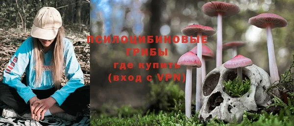 крисы Алексин