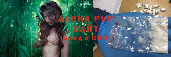 крисы Алексин