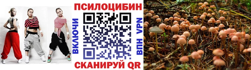 МЕГА сайт  Покровск  Галлюциногенные грибы мухоморы 
