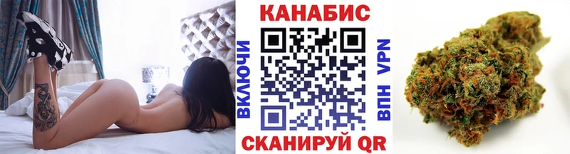 Шишки марихуана планчик  Покровск 